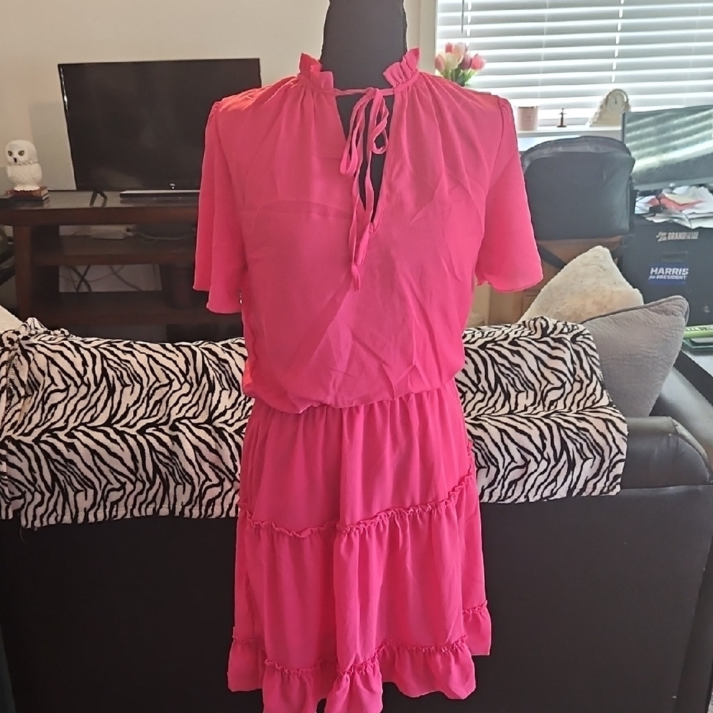 Pink Ruffled Dress